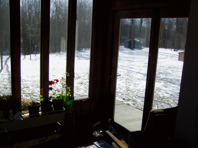 porch view