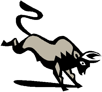 cow3